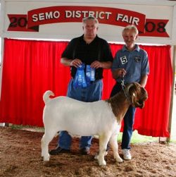 Gunner was Grand Champion Yearling Buck, Barry Watts was the Judge