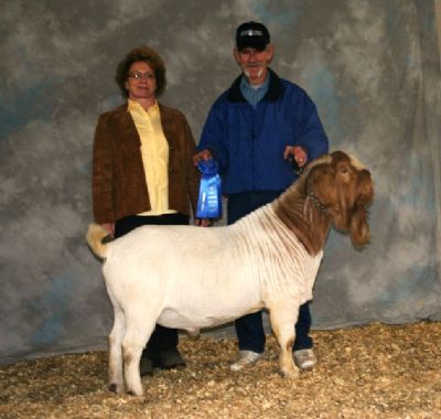 Bear Creek BC W213 Joshua Senior Reserve Champion NEA Early Spring Show, Paragould, AR 3/28/09