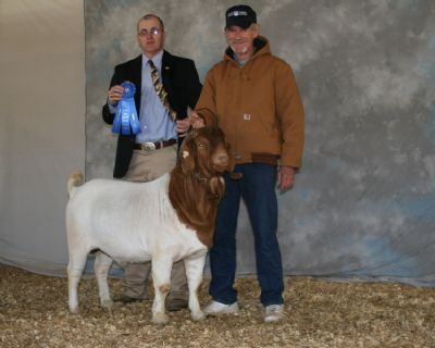 RA Mr. Texas Gunner Overall Grand Champion Buck, NEA Early Spring Show Paragould, AR 3/29/09