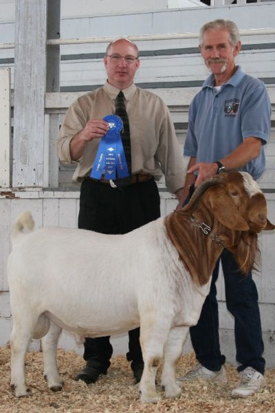 Bear Creek BC W213 Joshua Senior Reserve Champion Spring Spectacular Sedalia, MO 04/26/09