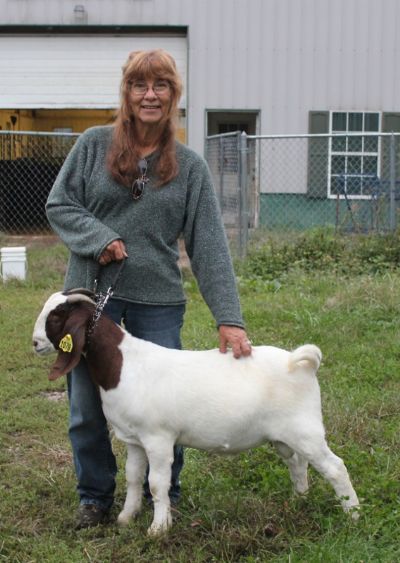 Bear Creek BC H1078 Bandit.  Sired by STCRF Jazz and out of Bear Creek BC B691 Heartbreaker.