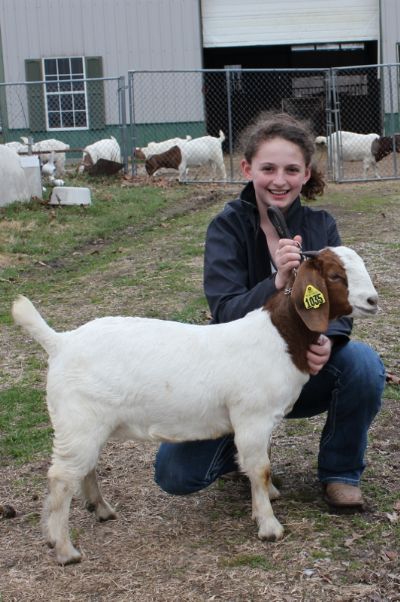 Bear Creek BC G1035 sired by Bear Creek BC D817 Argo and out of BC D826.  Staying in MO.