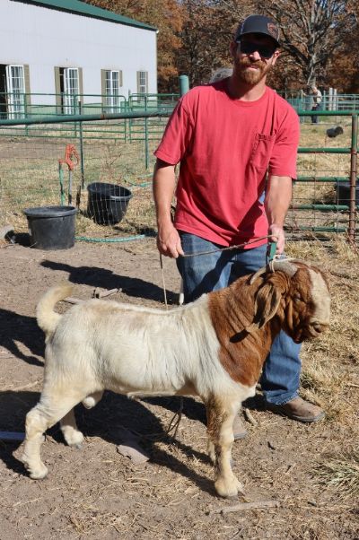 Bear Creek BC N1279 sired by BC BC L1201 Argos Karma and out of BC L1191.  Staying in MO