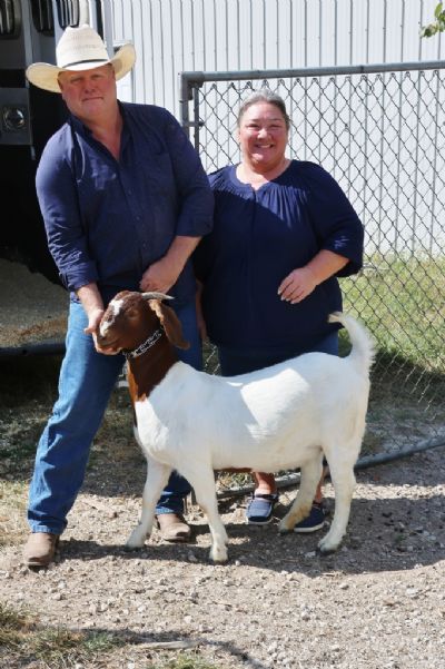 Bear Creek BC N1308 Sired by BC L1193 Main Man out of BC G1069 Joshua's Legend. Heading to AL