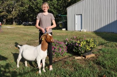 Bear Creek BC J1129 Sheeza Blessing sired by BC G1033 and out of BC D766.  Heading to Texas.