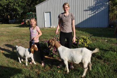 Bear Creek BC M1256 sired by BC K1153 Seabiscuit and daughter BC R1370.  Heading to Texas