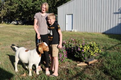 Bear Creek BC P1356 sired by KMSL ROR1 Smoke Show and out of BC K1157.  Heading to Texas.