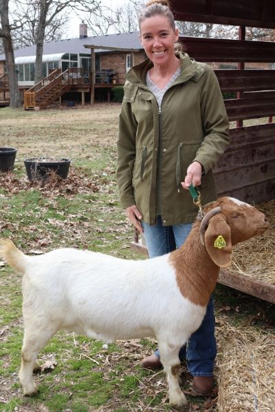 Bear Creek BC N1266.  Sired by BC K1153 Seabiscuit and out of BC G1029 Ms Merkle.  Heading to OK