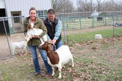 Bear Creek BC P1350 Sired by BC N1298 Grizzly and out of BC G1069 Joshua's Legend. Heading to OK