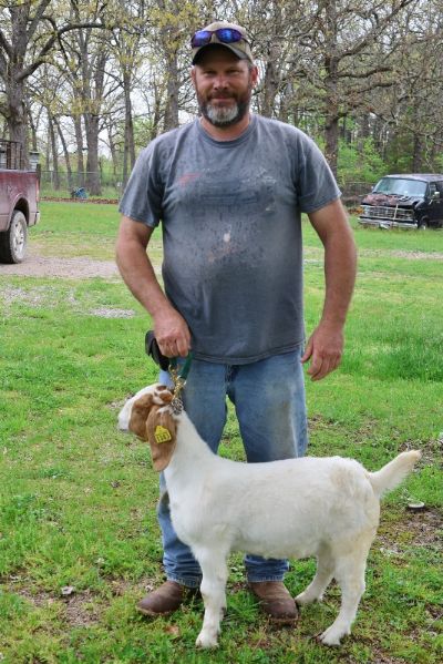 Bear Creek BC R1383 Wether Sired by 2RSG P33 Sandman and out of BC L1177 Sheeza Rip. Staying in MO