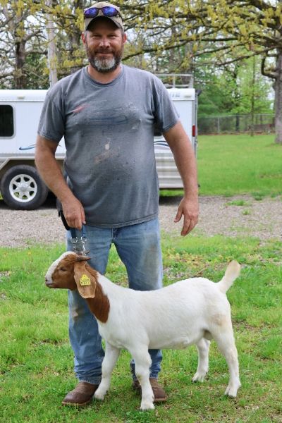 Bear Creek BC R1377 Buck Sired by 2RSG P33 Sandman and out of BC N1277 Flying Nun.  Staying in MO