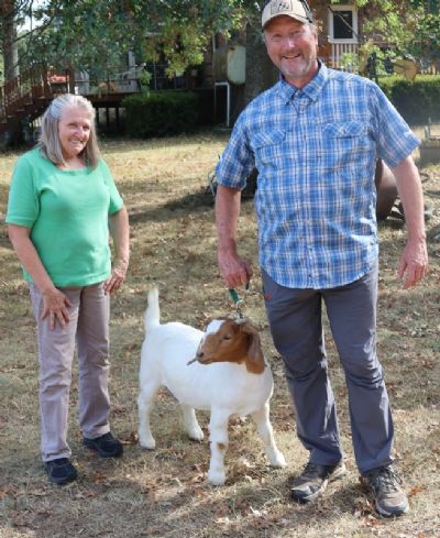 Bear Creek BC S1421, Sired by BC R1369 Hello Darlin and out of BC P1347 Heidi.  Staying in MO