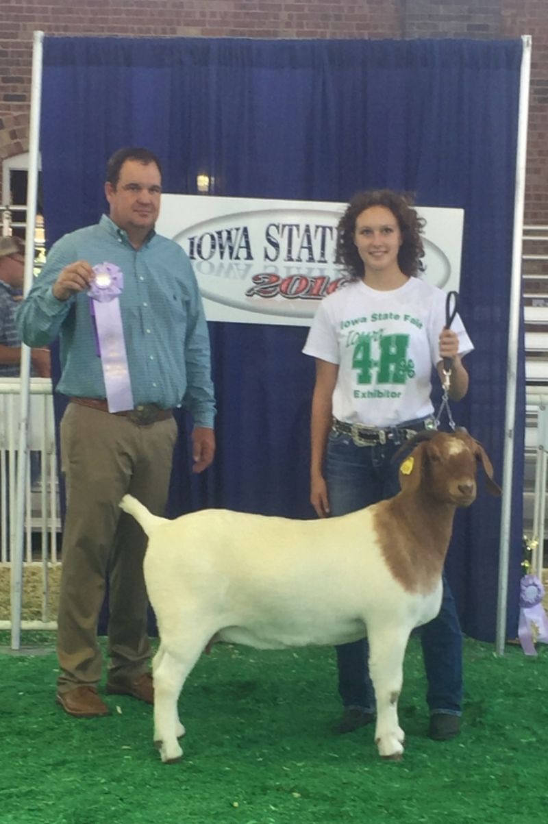 Bear Creek BC D824 Melissa. Rsv. Senior Champion Doe. Congrats to Sydney Black in Iowa!!