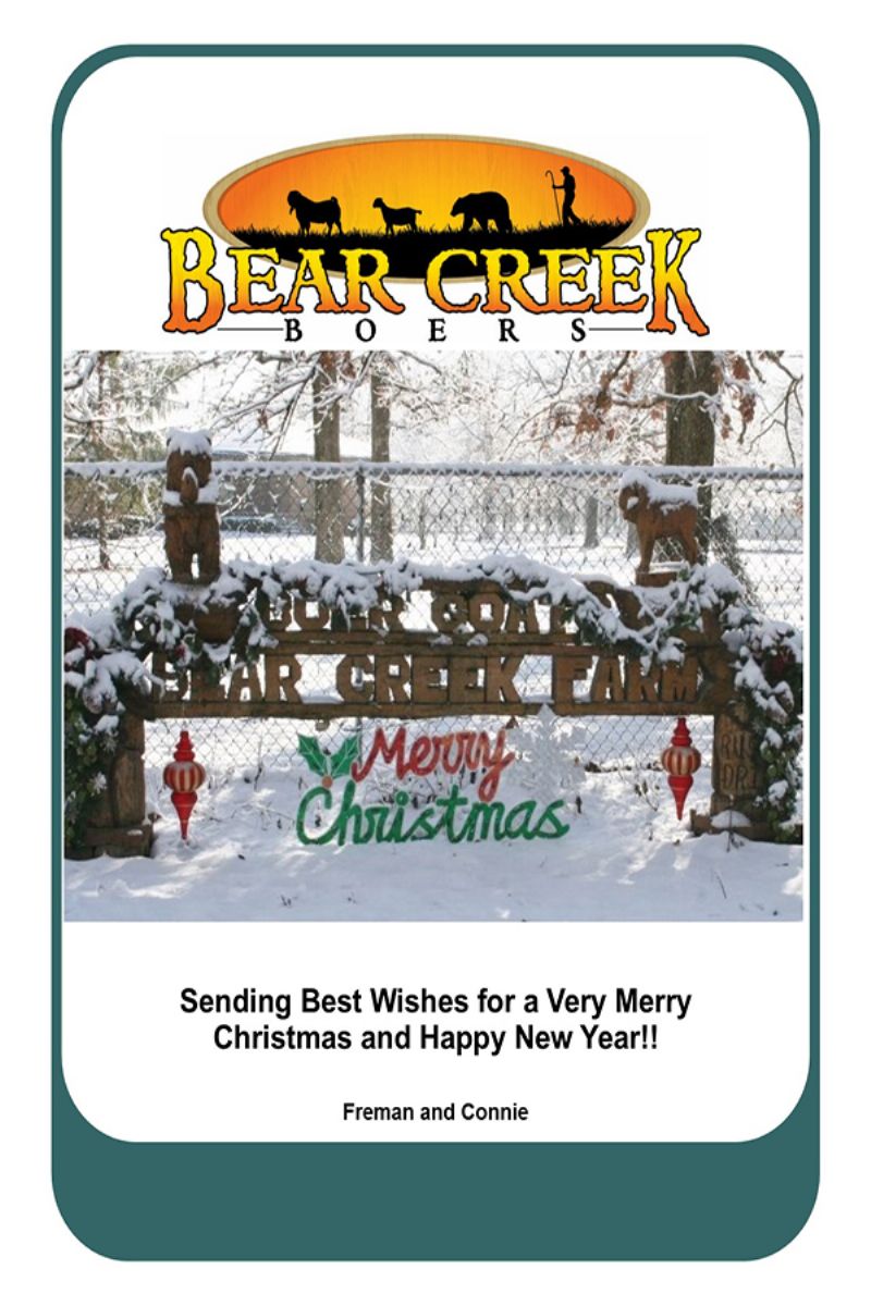 Bear Creek Boers Wishes Everyone A Very Merry Christmas 2024 - Boer Goat Buck