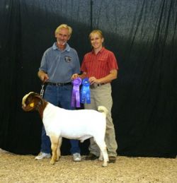 Our Newest Herd Sire Gunner was the Over All Grand Champion Buck at the Show-Me Fall Finale